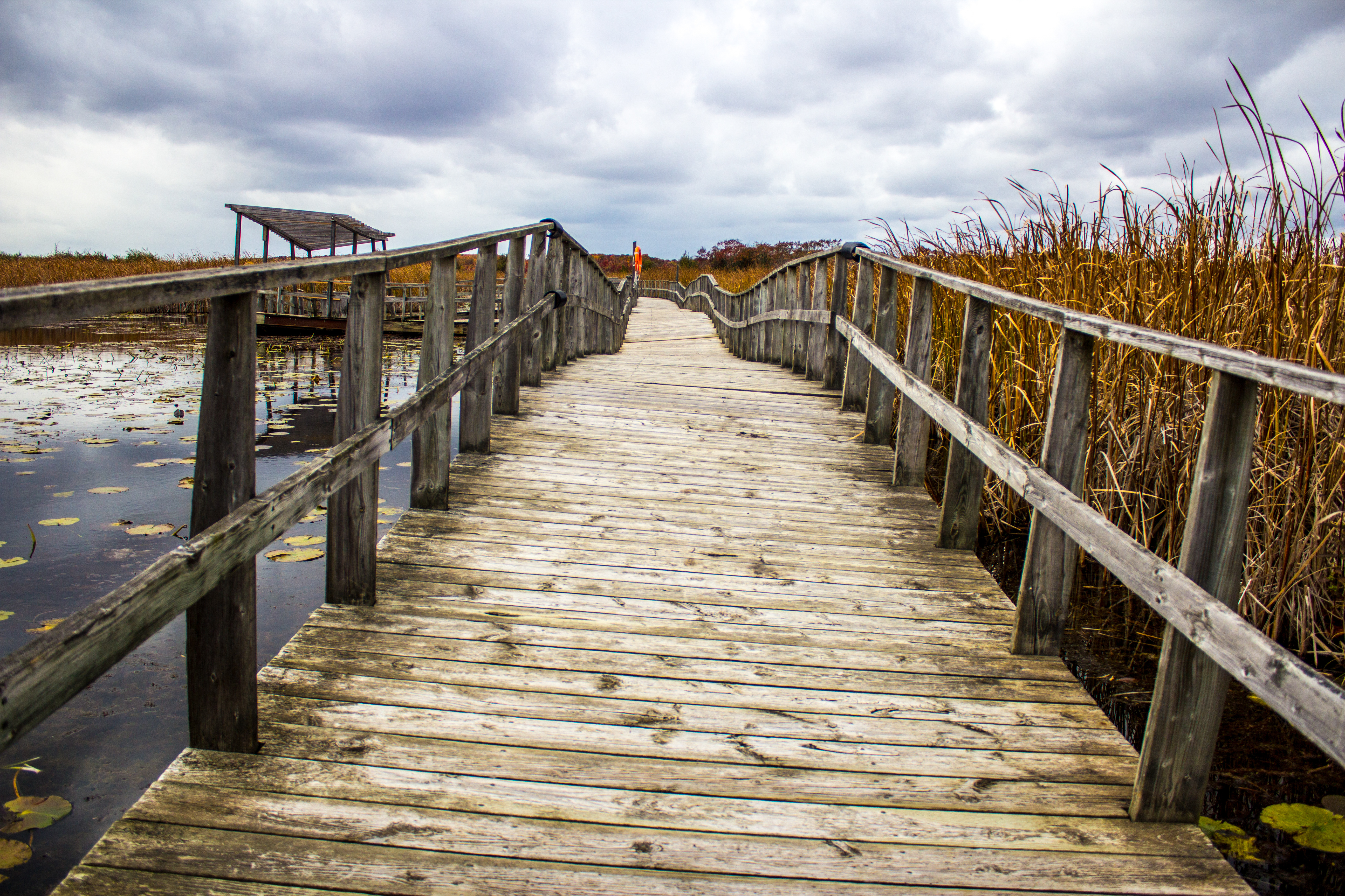 Marsh Dock Path